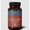 glucosamine-576x600